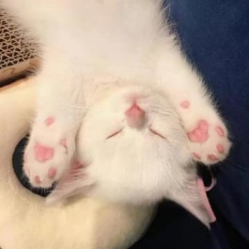 Ảnh đại diện của An Nhiên